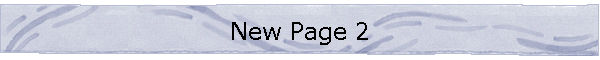 New Page 2