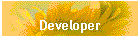 Developer